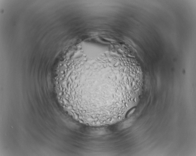 X0000060770377200512082039