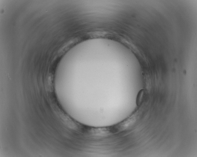 X0000060770378200512082039