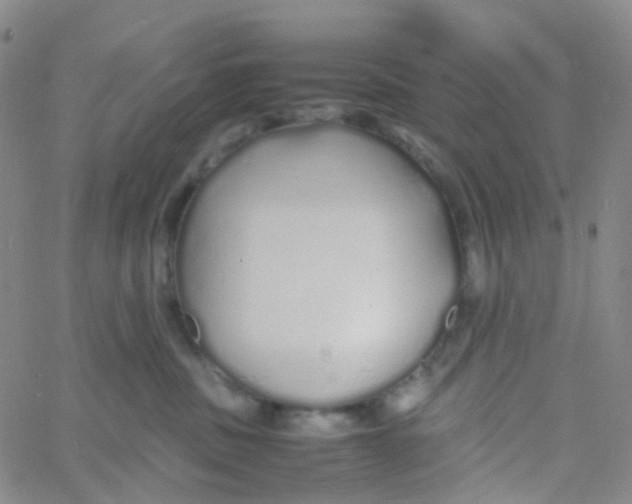 X0000060770379200512082039