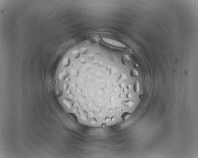 X0000060770381200512082039