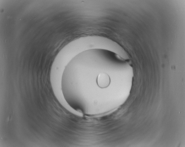 X0000060770384200512082040