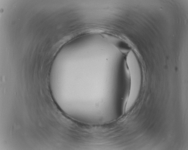 X0000060770385200512082039