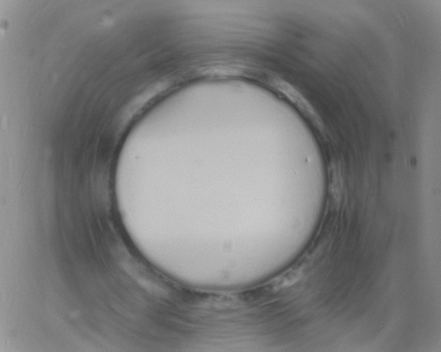 X0000060770386200512082039