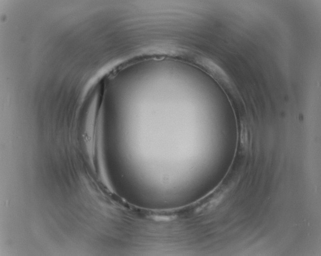 X0000060770388200512082039