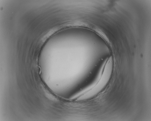 X0000060770389200512082039