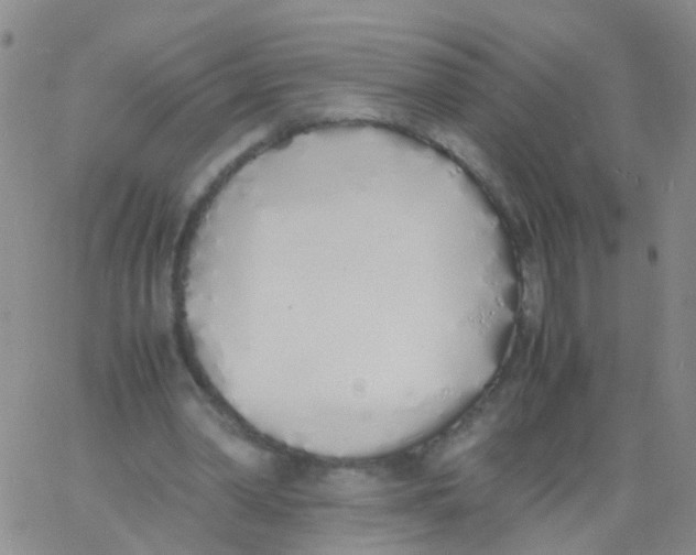 X0000060770390200512082039