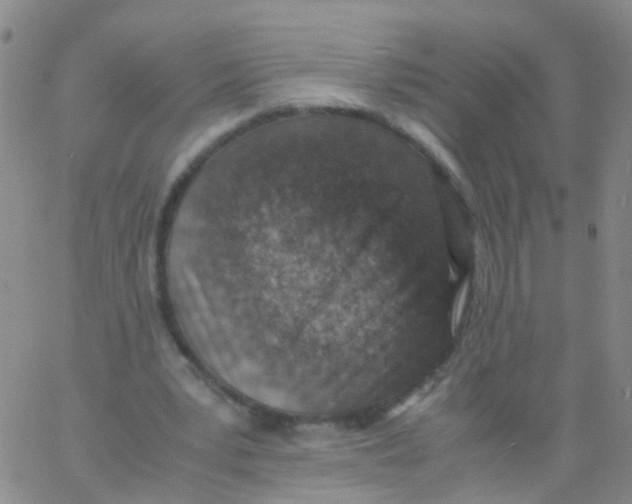 X0000060770391200512082039