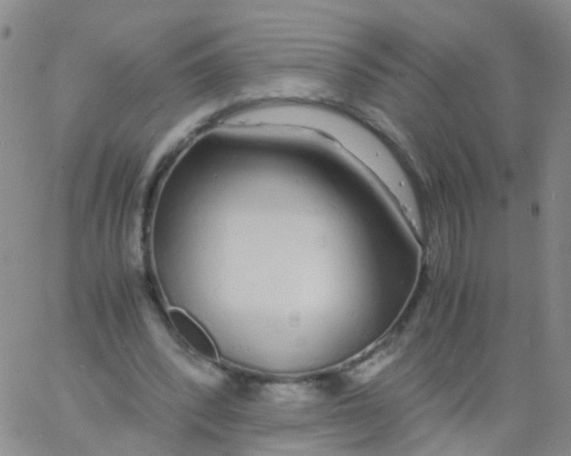 X0000060770392200512082039