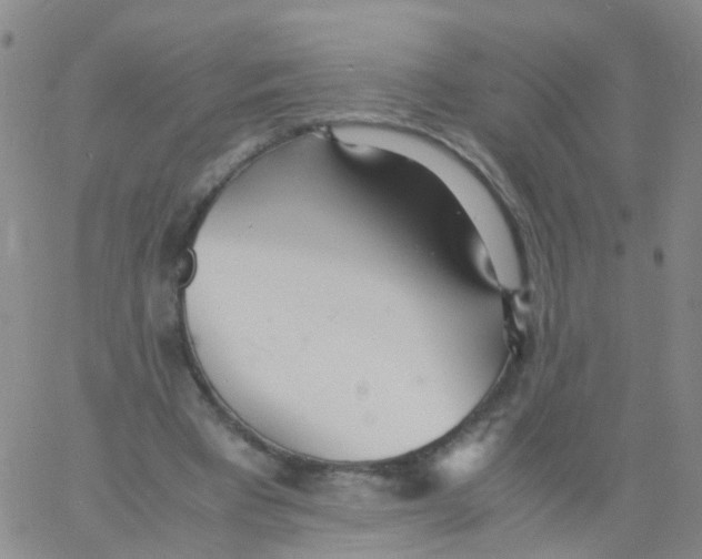 X0000060770393200512082039