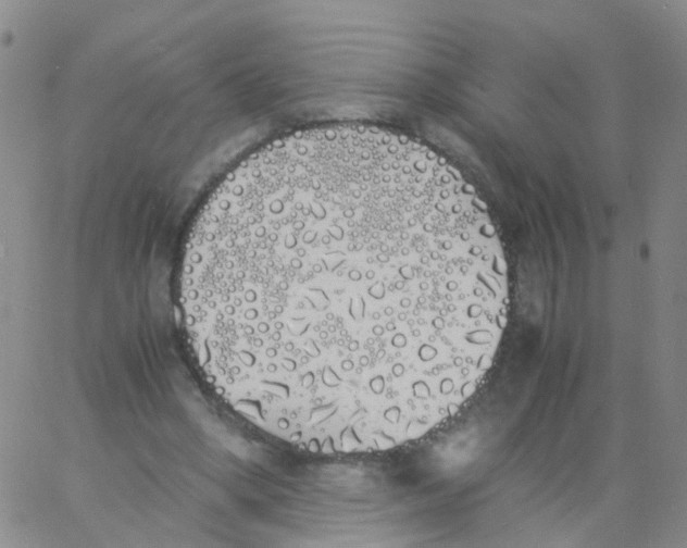 X0000060770394200512082039