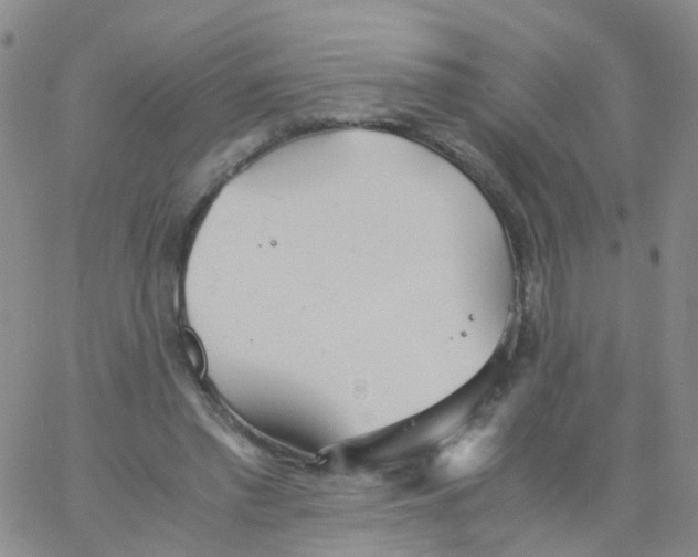 X0000060770397200512082039