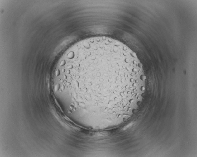 X0000060770398200512082039