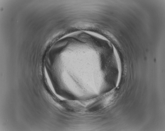 X0000060770399200512082039