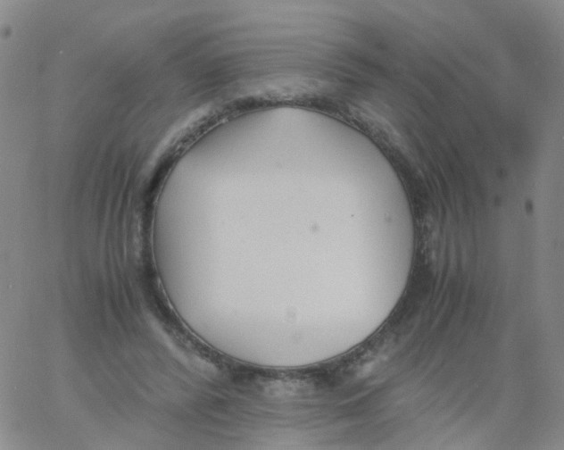 X0000060770400200512082039