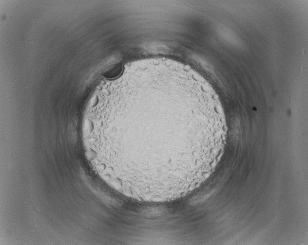 X0000060770402200512082038