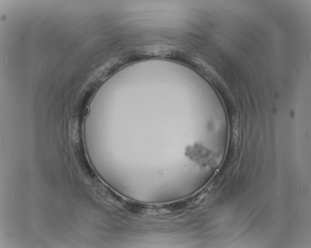 X0000060770403200512082038