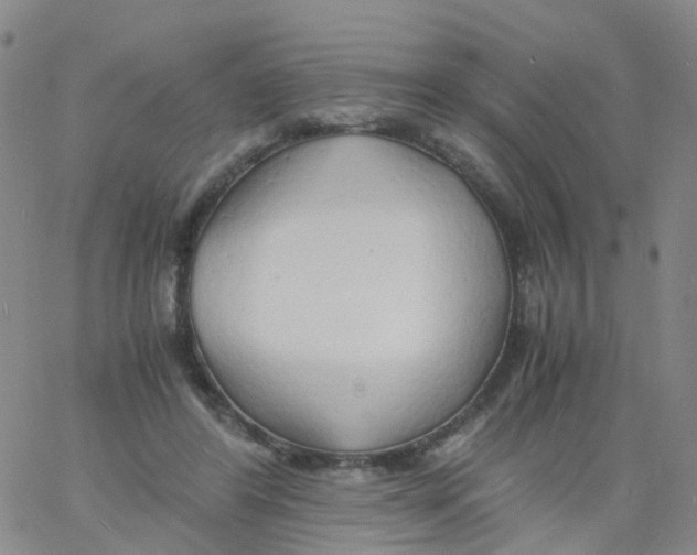 X0000060770404200512082038