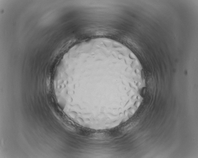 X0000060770406200512082038