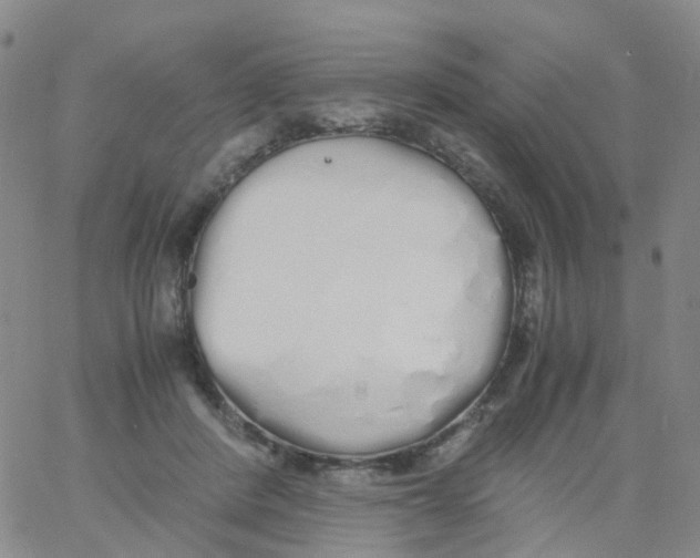 X0000060770408200512082038