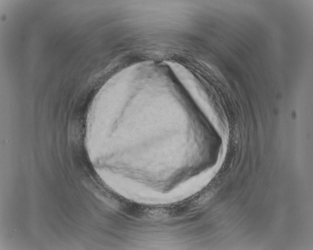 X0000060770409200512082038