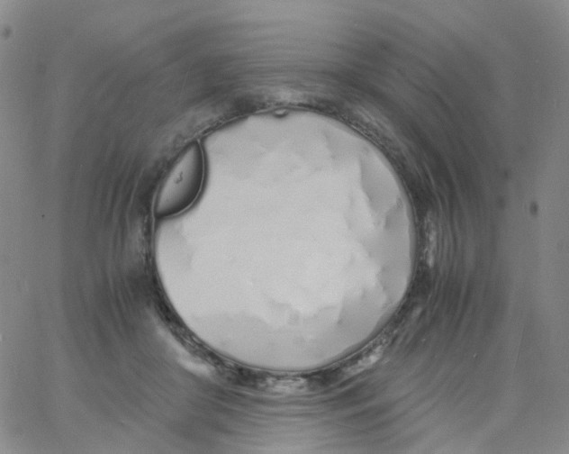 X0000060770410200512082038