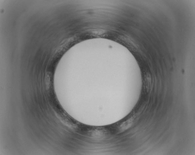 X0000060770412200512082038