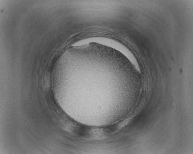 X0000060770413200512082038