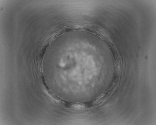 X0000060770415200512082038