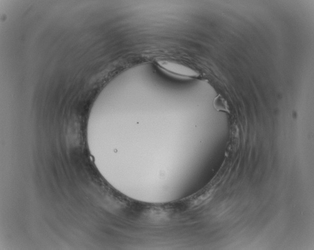 X0000060770416200512082038