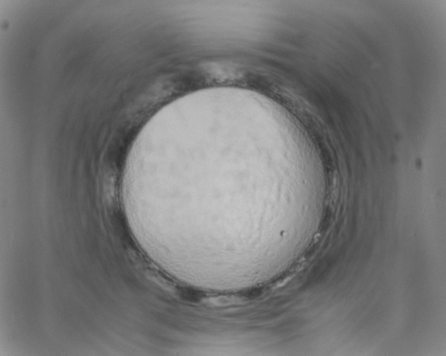 X0000060770417200512082038