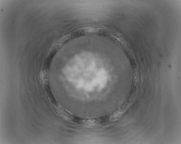 X0000060770419200512082038