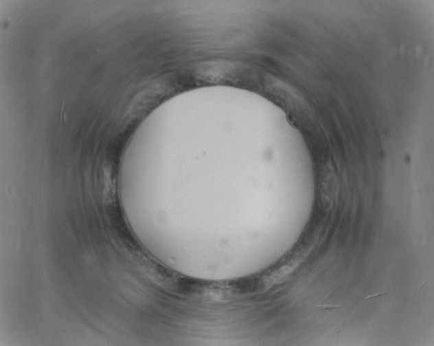 X0000060770420200512082038