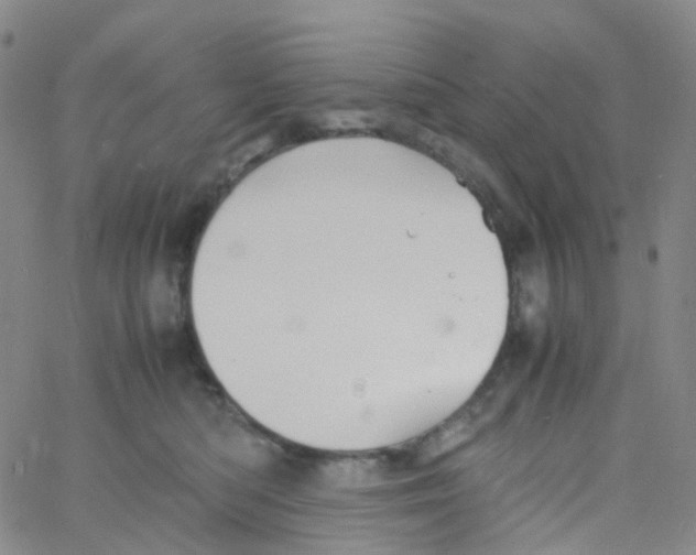 X0000060770422200512082038