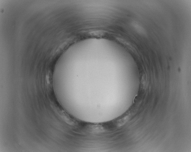 X0000060770424200512082038