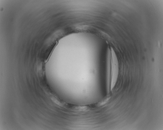 X0000060770428200512082038