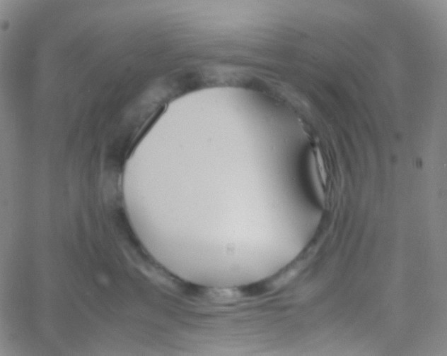 X0000060770429200512082038