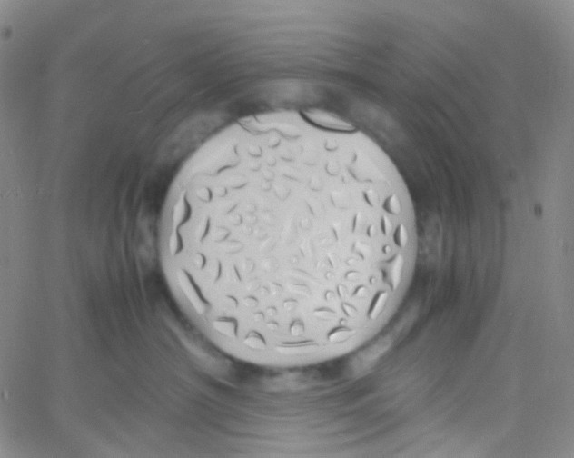 X0000060770430200512082038