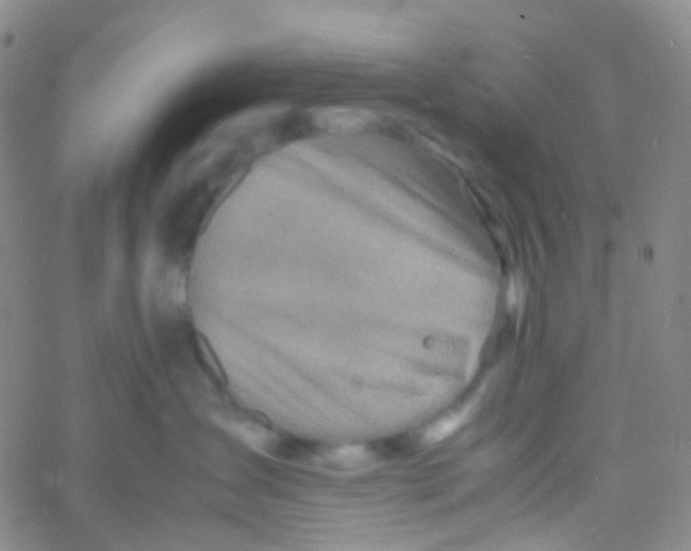 X0000060770431200512082038