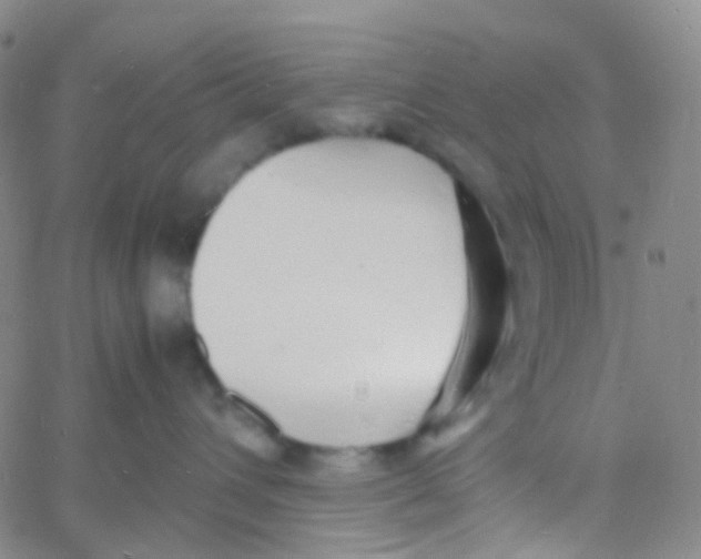 X0000060770432200512082038