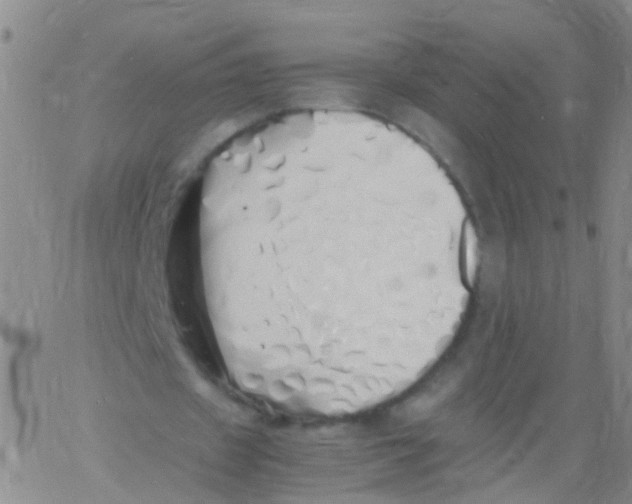 X0000060770433200512082037