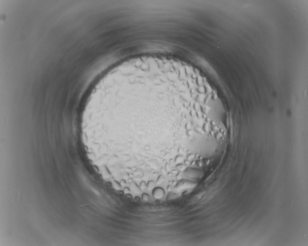 X0000060770435200512082037