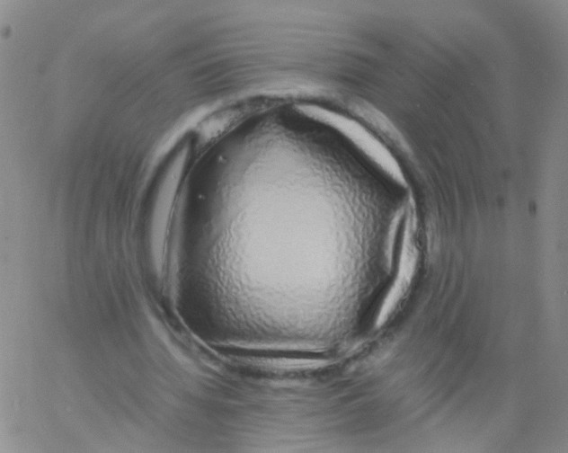 X0000060770436200512082037