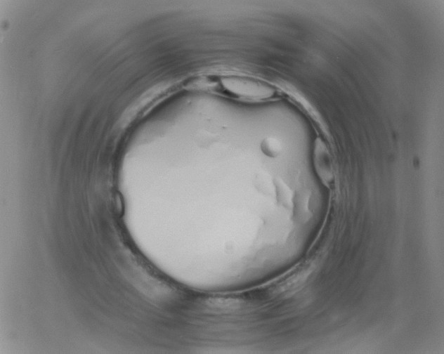 X0000060770437200512082037