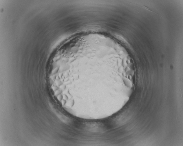 X0000060770439200512082037