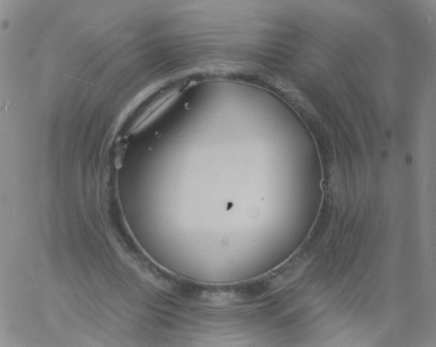 X0000060770440200512082037