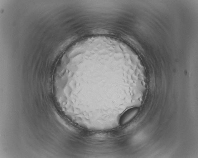 X0000060770441200512082037