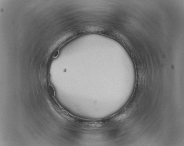 X0000060770443200512082037