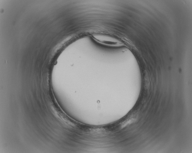 X0000060770446200512082037