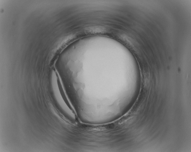 X0000060770447200512082037