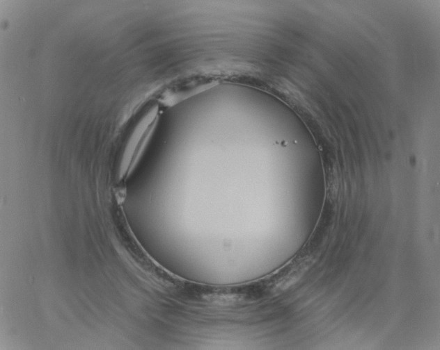 X0000060770448200512082037